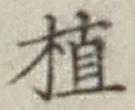 글자 植