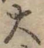 位置定マレル大