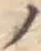 字ノ