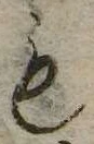㐌定位𣗓檊