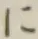 文字に