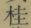 글자 桂