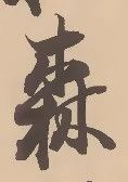 森 위치 확인됨