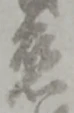 慈 위치 확인됨