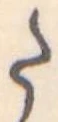 Đã định vị 𛁠