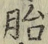 字胎