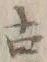 Chữ 古