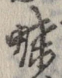 已定位蝶