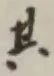 字其