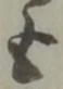 促 위치 확인됨