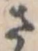 Đã định vị さ