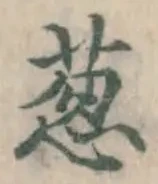 글자 葱