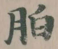 胉の位置