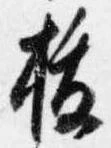 已定位抜