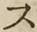字ス