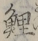 文字鯉