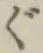 글자 ぐ