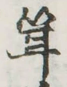 茸 위치 확인됨