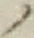“ノ”字