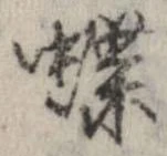 已定位蝶