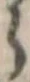 𛃰 위치 확인됨