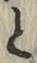“と”字