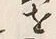 Character 入