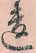 位置 確認된 違
