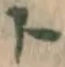 字ト