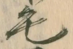 毛 위치 확인됨