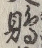Đã định vị 鵙
