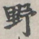 野 위치 확인됨