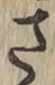 글자 さ