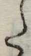 𛁠 위치 확인됨