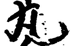 已定位丸
