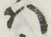 𛂞 위치 확인됨