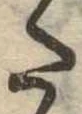𛁠 위치 확인됨