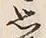 글자 思