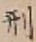 Character 刑