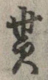 貰の位置