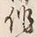 글자 作