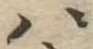 𛂞 위치 확인됨