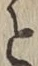 文字と