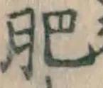 文字肥