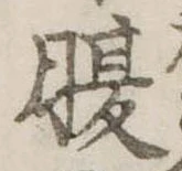 腹 위치 확인됨