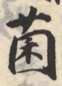 Located 菌