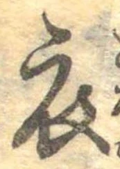 已定位衣