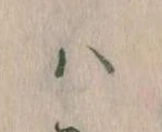 𛂞 위치 확인됨