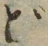 已定位ど