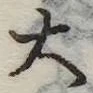 大 위치 확인됨